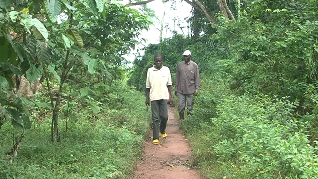 Congo 3