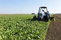 Côte d’Ivoire : La BAD décaisse 67 milliards FCFA pour créer un pôle agro-industriel dans le Centre du pays