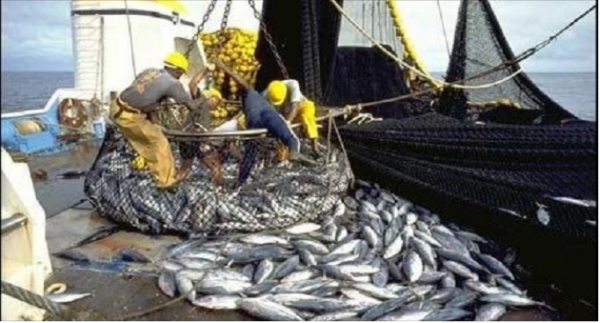 Pêche et aquaculture : experts et parties prenantes réfléchissent à Abidjan sur la réforme du secteur en Afrique