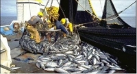 Pêche et aquaculture : experts et parties prenantes réfléchissent à Abidjan sur la réforme du secteur en Afrique