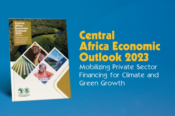 Perspectives économiques 2023 : l’Afrique centrale a enregistré la meilleure performance économique