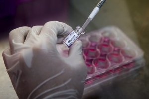 Covid-19/ Vaccin;  L'UE et les USA veulent intensifier leur coop&eacute;ration