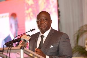 Côte d&#039;Ivoire/ Agriculture : Le Ministre Kobenan Kouassi Adjoumani invite le secteur privé à investir dans la filière rizicole