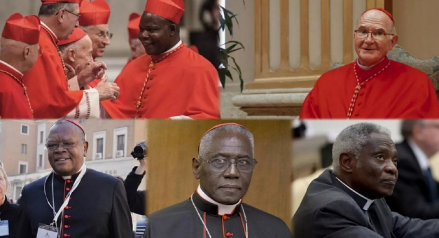 Vatican : les cardinaux africains en lice pour la succession du pape François