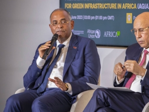 Côte d&#039;Ivoire/ Protection de l’environnement : Patrick Achi présente les actions fortes du Président Ouattara