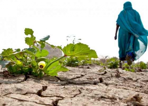 COP21 : Ce que l’Afrique attend de l’accord global sur le climat