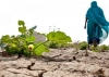 COP21 : Ce que l’Afrique attend de l’accord global sur le climat