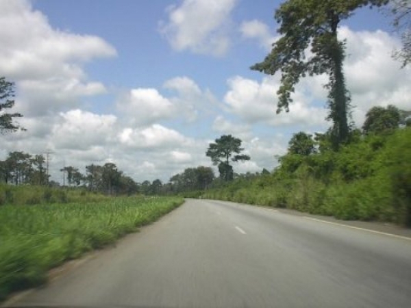 Côte d&#039;Ivoire: Le bitumage de la route Bolona-frontière du Mali (32 km) avancent bien