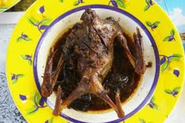 Côte d&#039;Ivoire-Menace Ebola: Des chauves souris dans les assiettes à Gagnoa