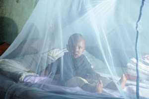 C&ocirc;te d'Ivoire/ Lutte contre le paludisme : Le taux de mortalit&eacute; en baisse d&rsquo;environ 50%