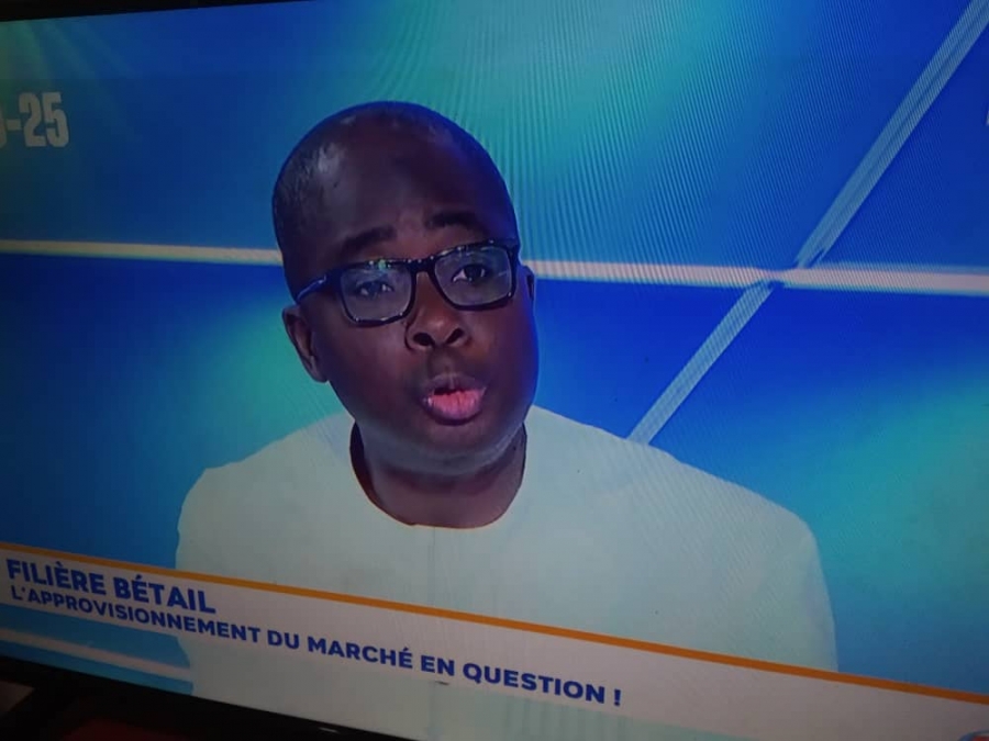 Fête de la Tabaski-Dr Dagnogo Komissiri : « Le mouton de Tabaski est spécifique, c’est ce mouton que nous couvrons autour de 25% et importons près de 75%. »