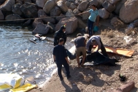 Soixante migrants morts noyés au large de la Libye
