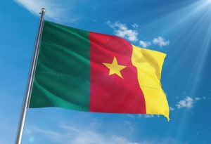 Cameroun: Trois épidémies sous contrôle