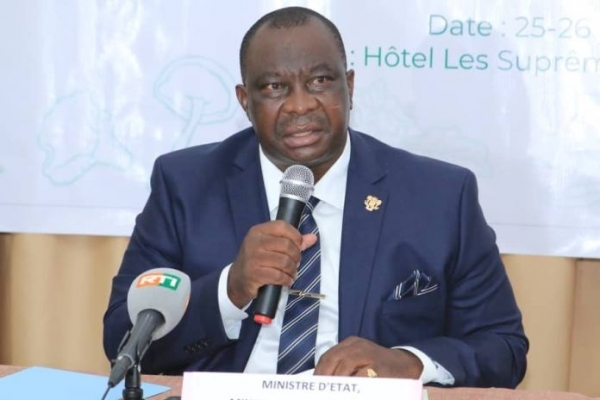 C&ocirc;te d&rsquo;Ivoire : l&rsquo;&Eacute;tat lance l&rsquo;achat des quantit&eacute;s r&eacute;siduelles de cacao encore invendues pour d&eacute;sengorger les zones de production