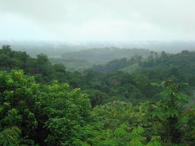 C&ocirc;te d&rsquo;Ivoire : Les occupants de la for&ecirc;t class&eacute;e du Cavally ont jusqu'&agrave; la fin de l'ann&eacute;e pour d&eacute;guerpir