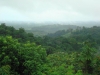 C&ocirc;te d&rsquo;Ivoire : Les occupants de la for&ecirc;t class&eacute;e du Cavally ont jusqu'&agrave; la fin de l'ann&eacute;e pour d&eacute;guerpir