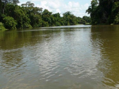 Côte d’Ivoire : Des eaux usées d’une usine droit dans le fleuve Bandama