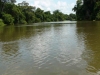 Côte d’Ivoire : Des eaux usées d’une usine droit dans le fleuve Bandama