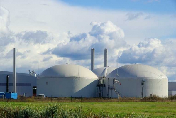 Electricité : le chinois Power China ambitionne de bâtir une centrale biomasse en Côte d’Ivoire