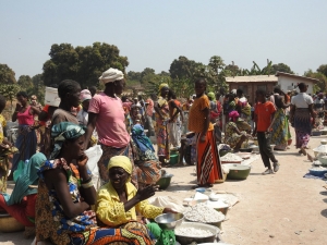 Crise en RCA : plus de 84.000 Centrafricains r&eacute;fugi&eacute;s dans les pays voisins (HCR)