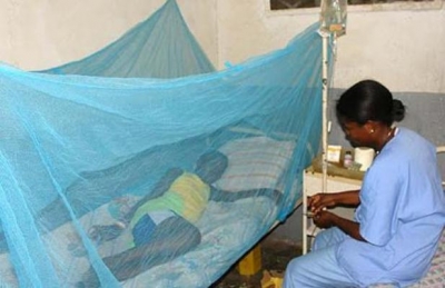 Santé : Une rencontre panafricaine pour accélérer l’élimination du paludisme
