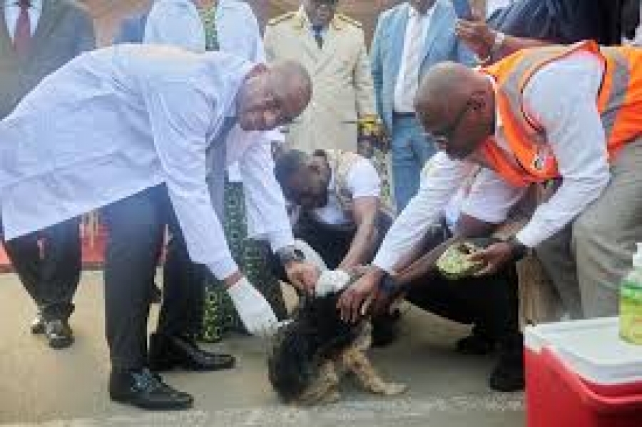 Côte d’Ivoire : la rage toujours une menace, le gouvernement intensifie la prévention