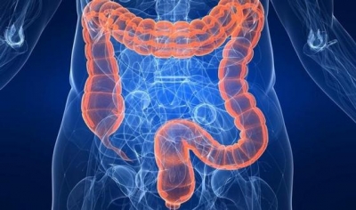 Santé: 80 % des Ivoiriens souffrent de la colopathie fonctionnelle