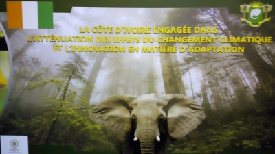 COP22 : La Côte d’Ivoire engagée dans l’action pour l’atténuation et l’adaptation aux effets du changement climatique