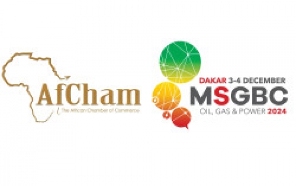 Secteur extractif en Afrique/ Un partenariat stratégique pour renforcer les relations commerciales Sino-Africaines