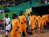 Les &eacute;l&eacute;phant de C&ocirc;te d'Ivoire