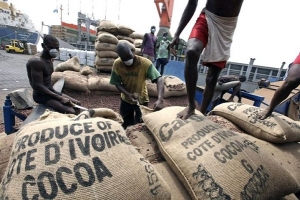 Côte d’Ivoire: Abidjan et Accra veulent sauver la production cacaoyère à travers l’accord «Déclaration d’Abidjan»