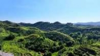 Le mont Bijia &agrave; Shangyou : laboratoire unique des pratiques &eacute;cologiques