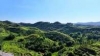 Le mont Bijia &agrave; Shangyou : laboratoire unique des pratiques &eacute;cologiques
