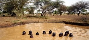 R&eacute;gion du Sahel : Pr&egrave;s de 5 millions d'enfants auront besoin d'une aide humanitaire cette ann&eacute;e (UNICEF)