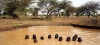 Région du Sahel : Près de 5 millions d&#039;enfants auront besoin d&#039;une aide humanitaire cette année (UNICEF)