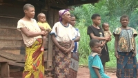 Dossier/ L’impact de la déforestation sur les peuples autochtones du Congo, Cameroun et Centrafrique