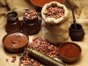 La C&ocirc;te d&rsquo;Ivoire envisage une universit&eacute; du cacao et du chocolat