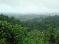 Côte d’Ivoire-Gaz à effet de serre : ouverture à Abidjan d’un atelier de validation du niveau de référence pour les forêts ivoiriennes
