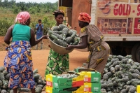 Z&eacute;ro droit de douane : la Chine et l'Afrique vers une proximit&eacute; sans pr&eacute;c&eacute;dent (PAPIER GENERAL)