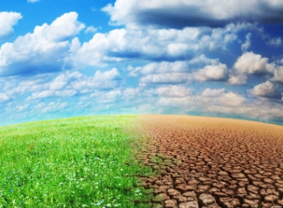 En Côte d’Ivoire, on réfléchit aux solutions de résilience face aux changements climatiques