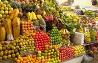 Port d&rsquo;Abidjan : Construction prochaine d&rsquo;une plateforme logistique pour l&rsquo;exportation de fruits