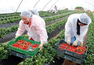 Maroc : La BAD Mobilise Plus de 114 Millions d&rsquo;euros pour Soutenir une Agriculture plus R&eacute;siliente et Plus Inclusive