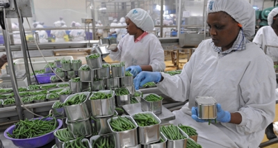 Nigeria : La BAD et ses partenaires mobilisent 520 millions de dollars pour des zones de transformation agro-industrielle spéciales