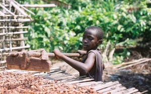 Les enfants qui aident souvent leurs parents au champ ne sont pas des victimes de traite et d’exploitation (Premières dames)