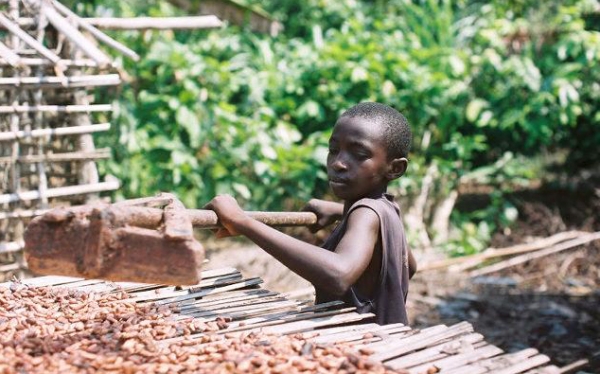 Les enfants qui aident souvent leurs parents au champ ne sont pas des victimes de traite et d’exploitation (Premières dames)