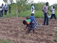Une jeune paysanne sur sa parcelle agroforestière de Zonguitakaha - Sénoufo