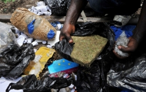 Côte d’Ivoire-Drogues : énième destruction du célèbre fumoir de Yaossehi à Yopougon