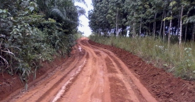C&ocirc;te d&rsquo;Ivoire : 500 millions F CFA pour des travaux de voirie &agrave; Du&eacute;kou&eacute;