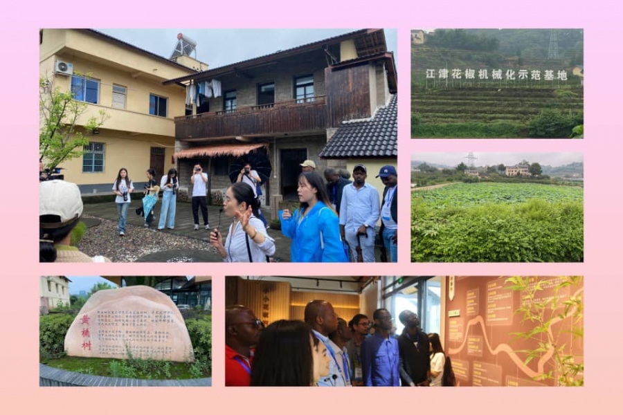 Chine-Baoping : un village modèle au parfum de poivre du Sichuan