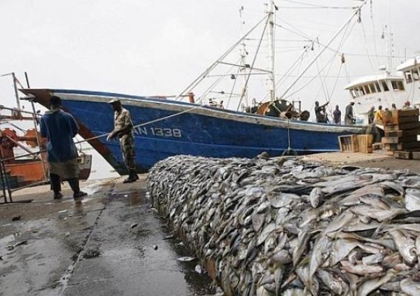Fin de la première phase de modernisation du port de pêche d’Abidjan